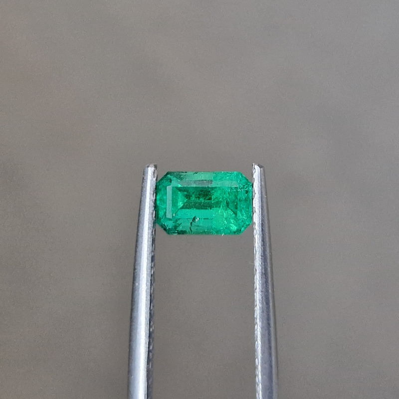 Van Amstel Gem - EF1515/MNA