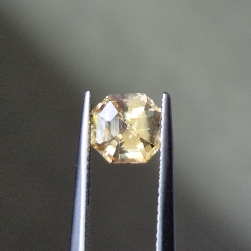 Van Amstel Gem - SF2627