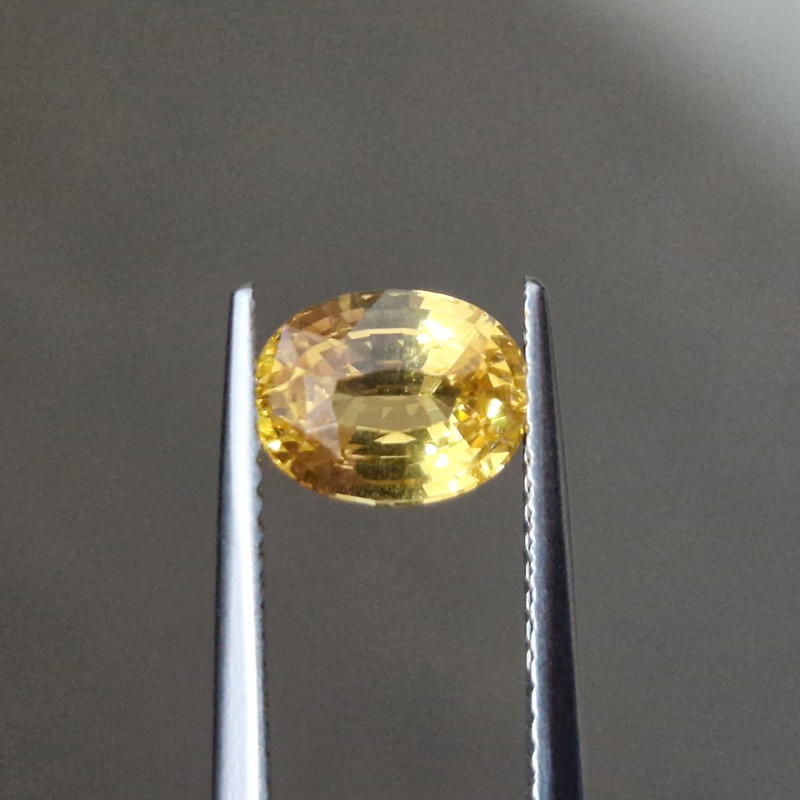 Van Amstel Gem - SF2657/NBE