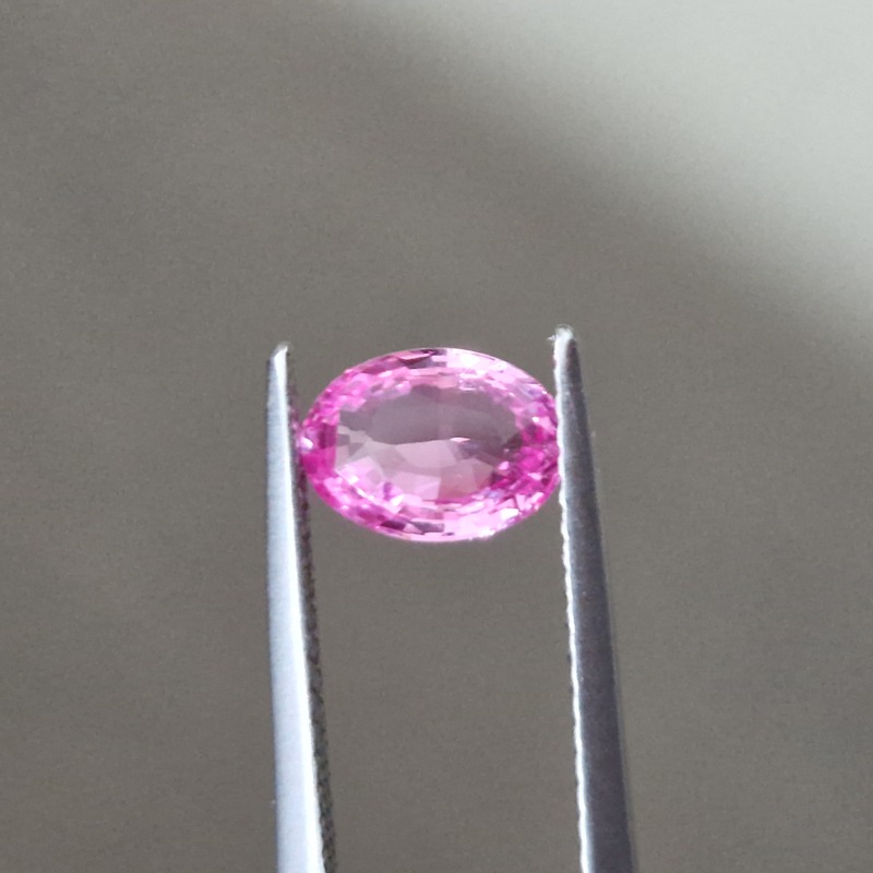 Van Amstel Gem - SF2787/OA5